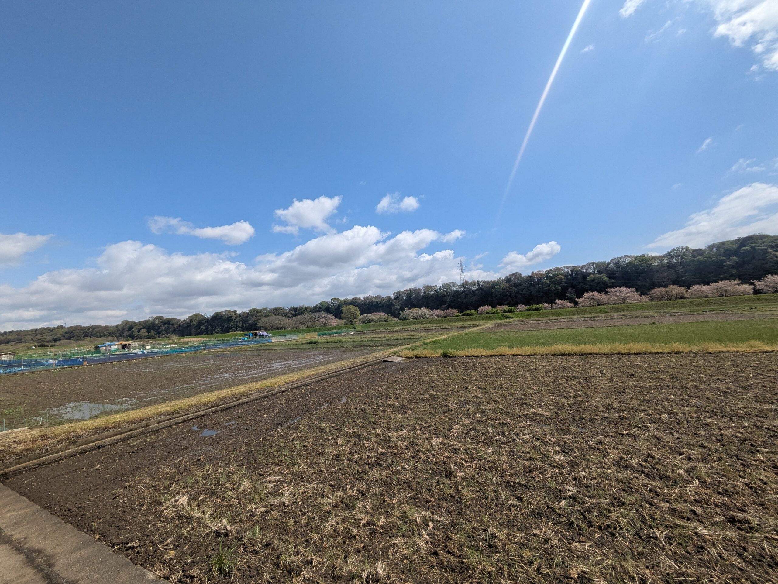 健康診断に向けて運動スタート！東日本国際マラソンにも挑戦します/🏃‍♂️ Getting Back into Training for My Health Check!