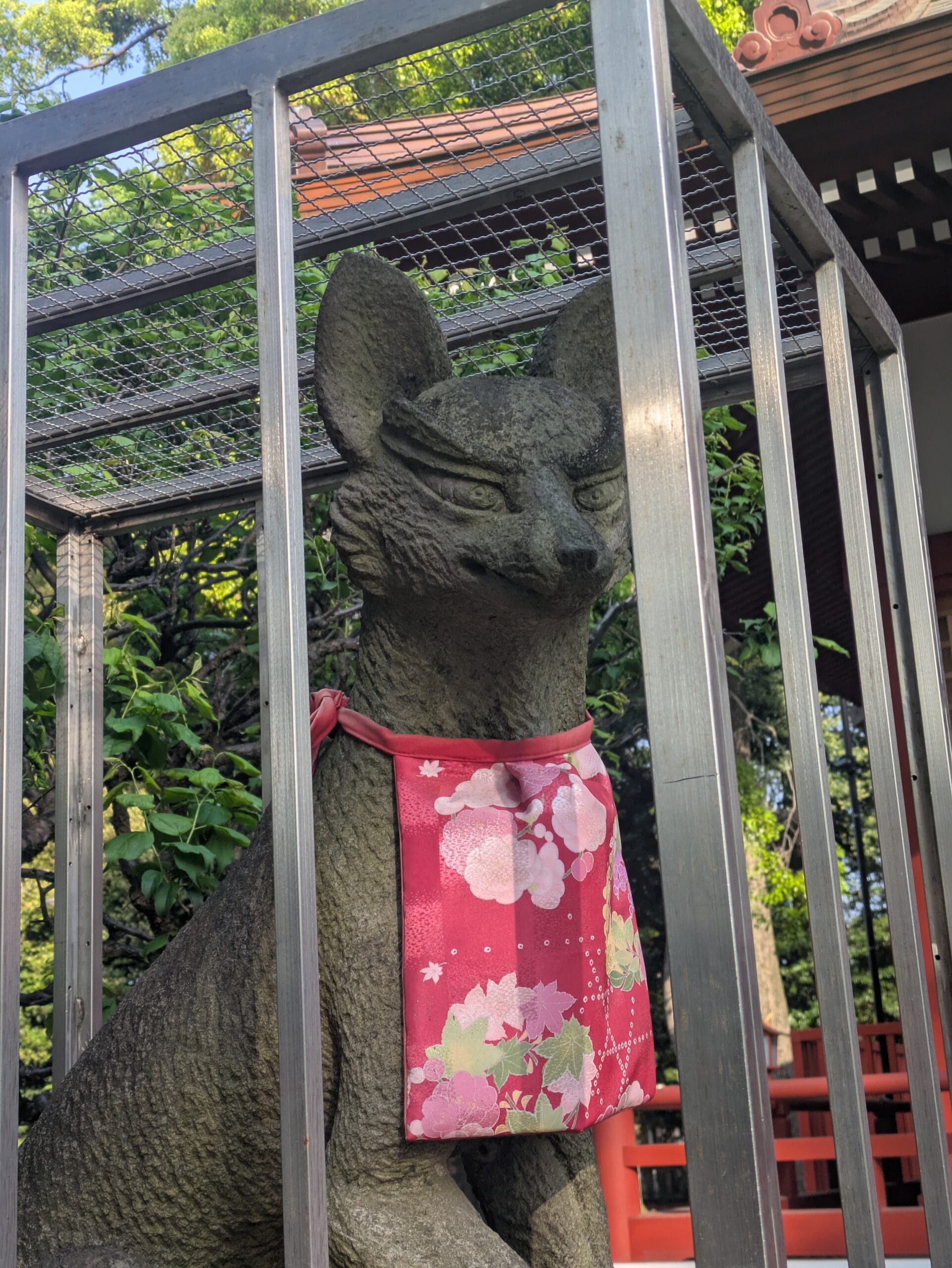 🌸 氏神様に見守られて歩く朝