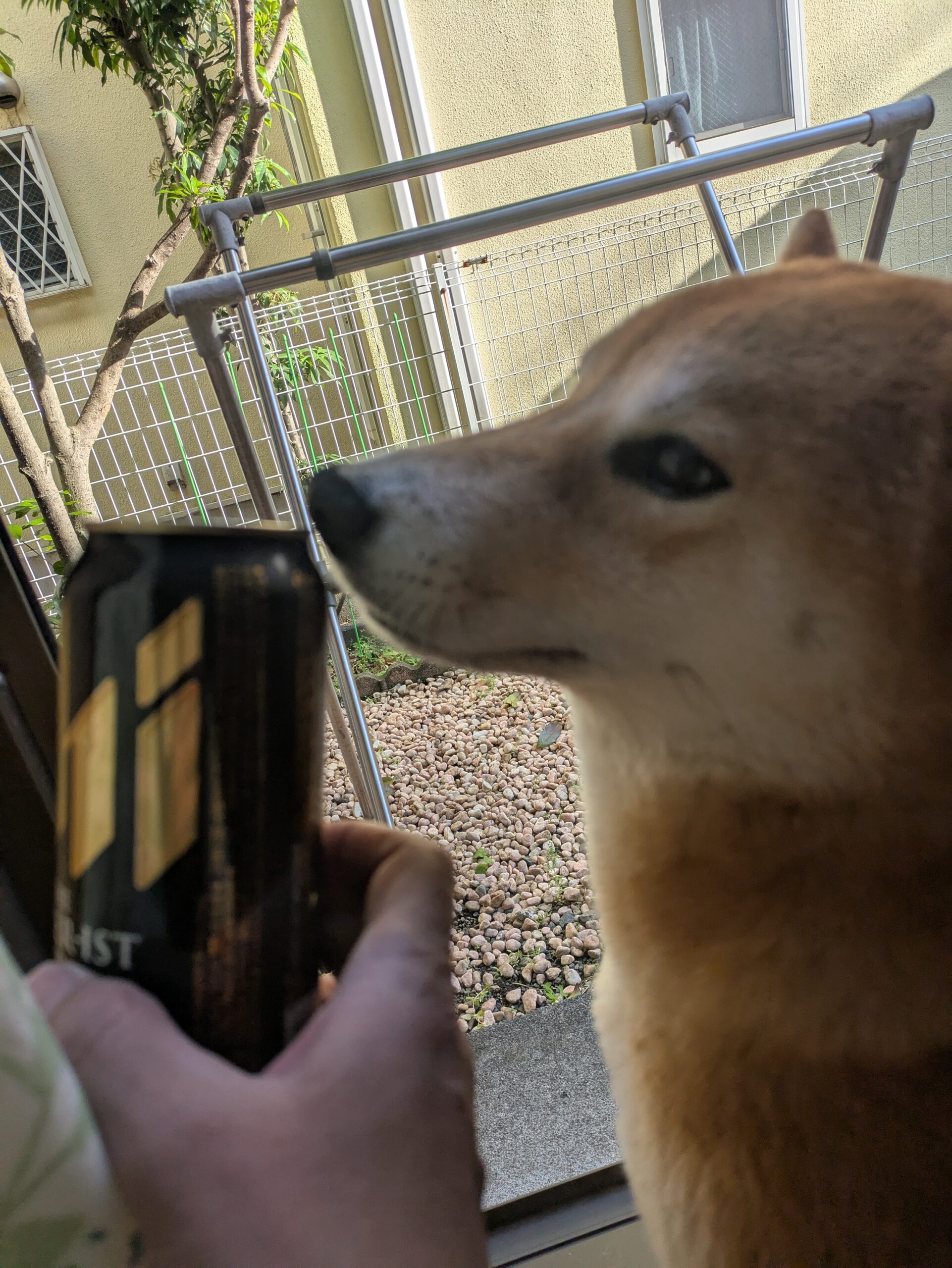 【腰痛持ちの休日】市営銭湯でちょっとだけ優しい週末を過ごした話