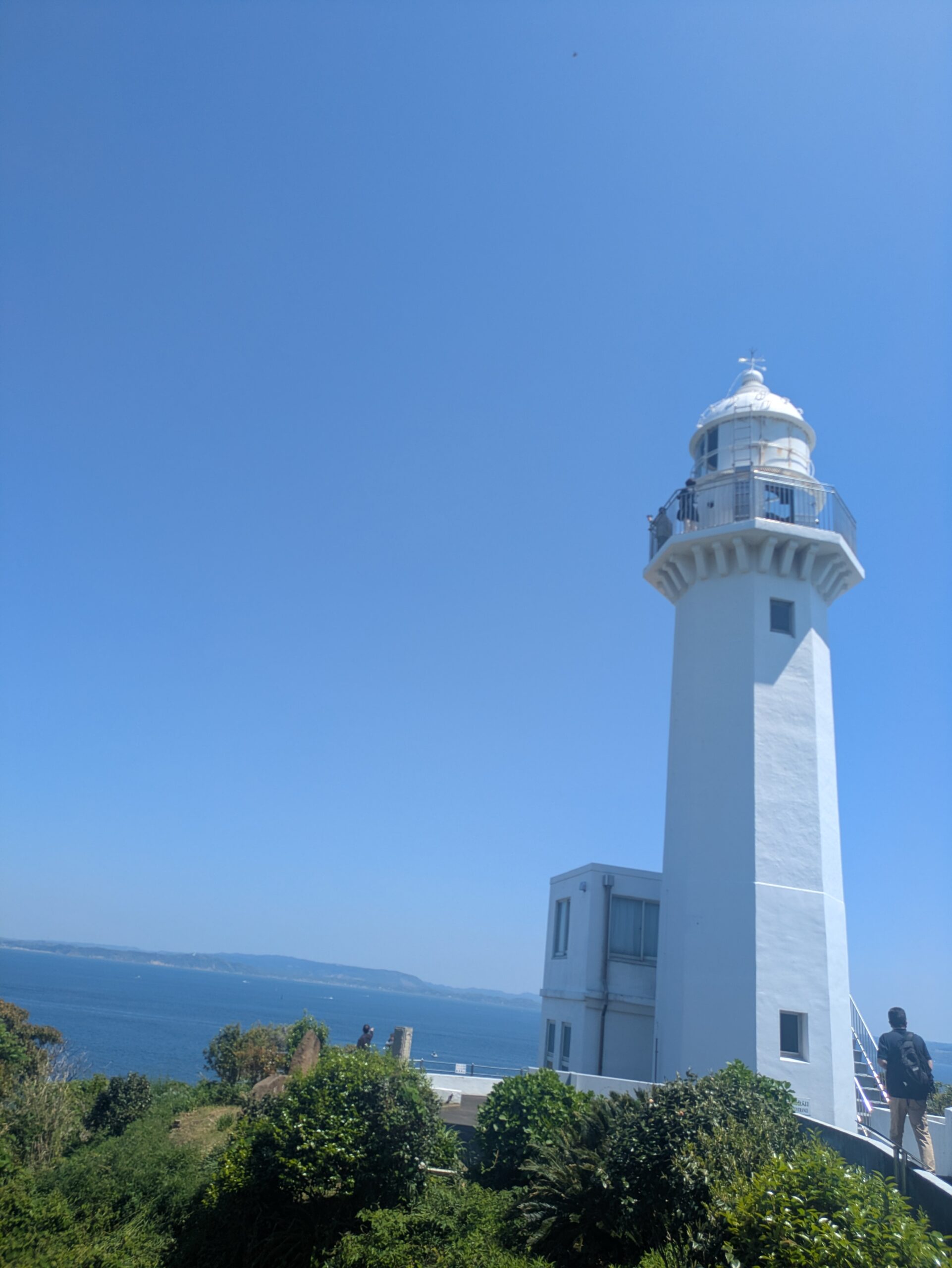 【犬連れ観音崎】海と灯台と柴犬もみじの休日散歩レポ