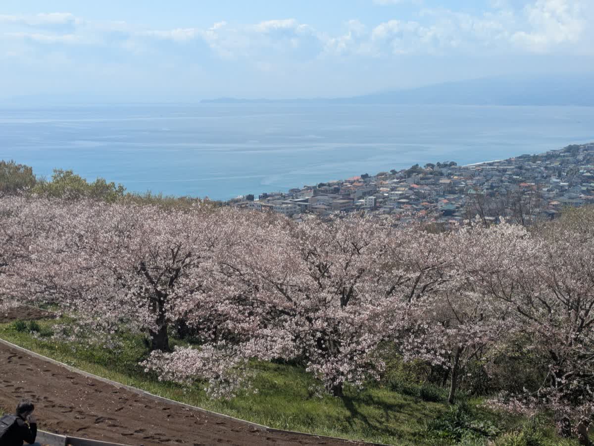🌊山と海と、もみじと妻と。そして、アジフライとビール。