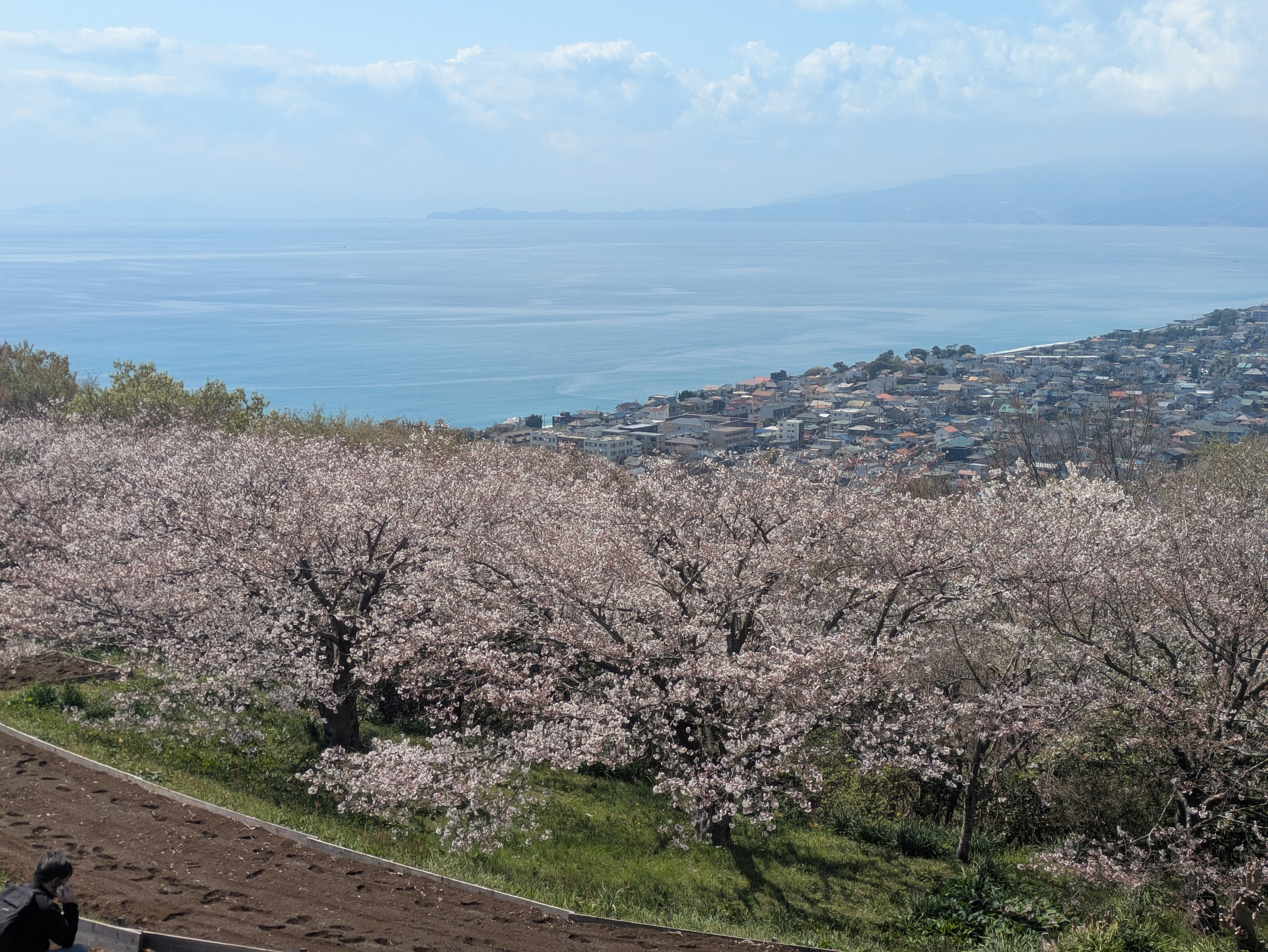 🌊山と海と、もみじと妻と。そして、アジフライとビール。🌊 Mountains, Sea, My Dog, and My Wife — Plus Fried Fish and Beer