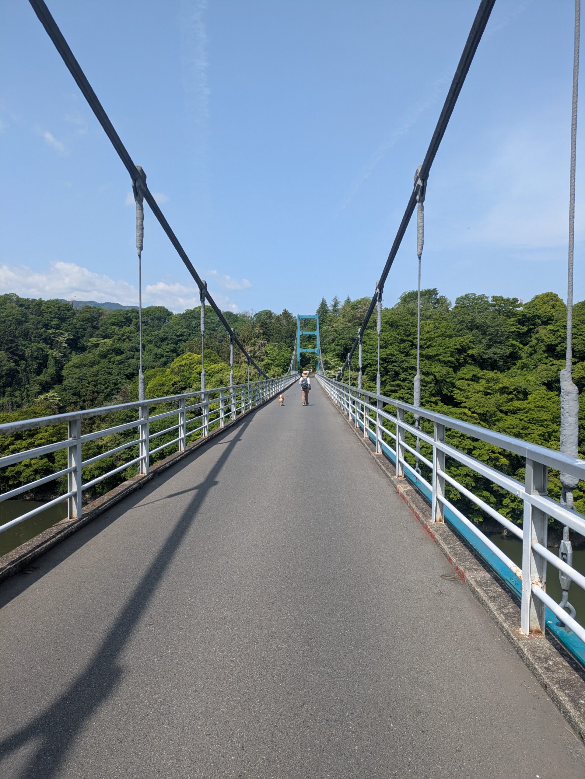 【こどもの日ハイキング】腰痛・ヒル・朝ラーメン全部のせで挑んだ山行レポ
