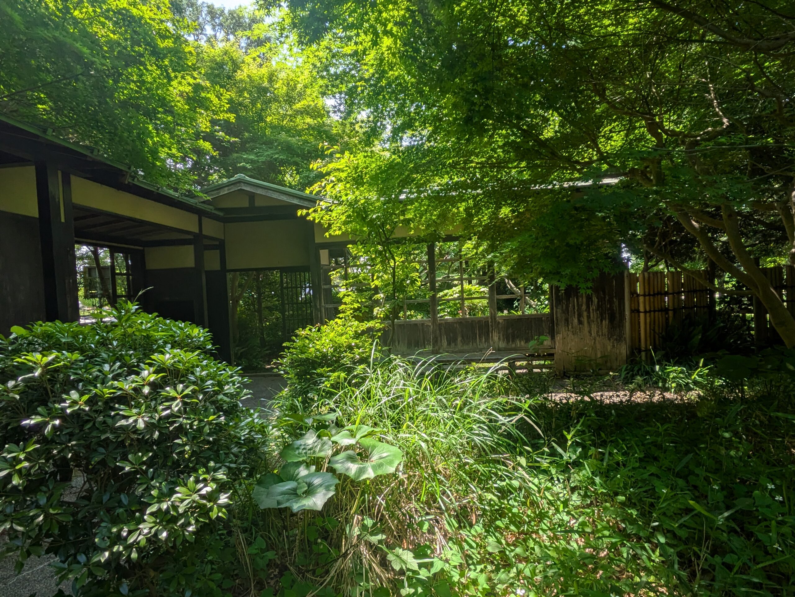 🌿茅ケ崎里山公園で“日常”を深呼吸してきた休日