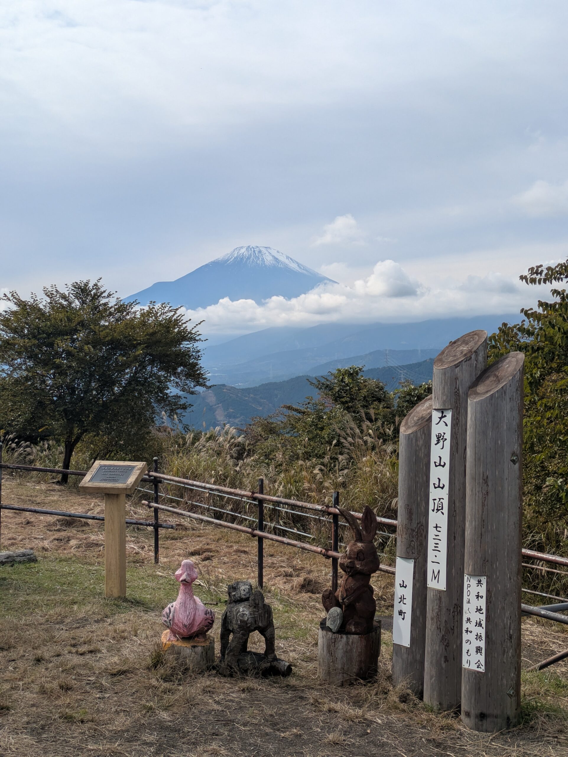 Mt. Ono Hiking in Kanagawa: Easy Trail with Stunning Mt. Fuji Views for Beginners
