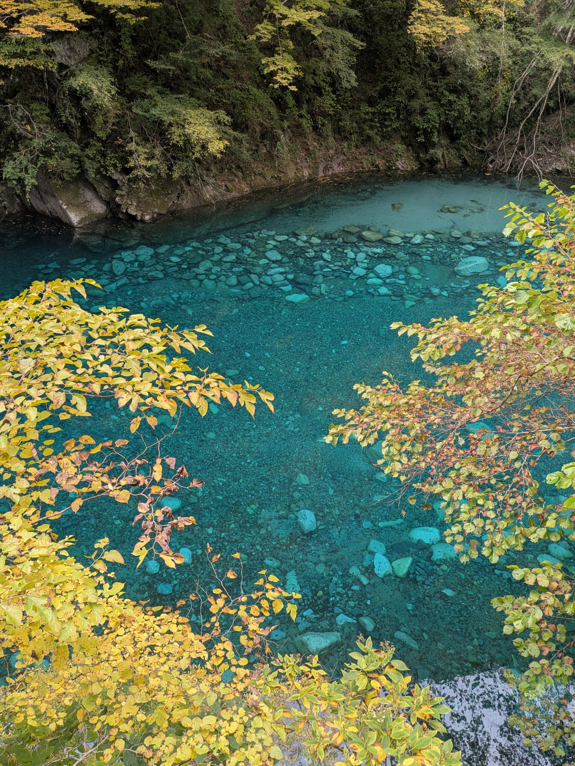 【ユーシン渓谷ハイキング】50代おじさんが紅葉の中で人生を考えた