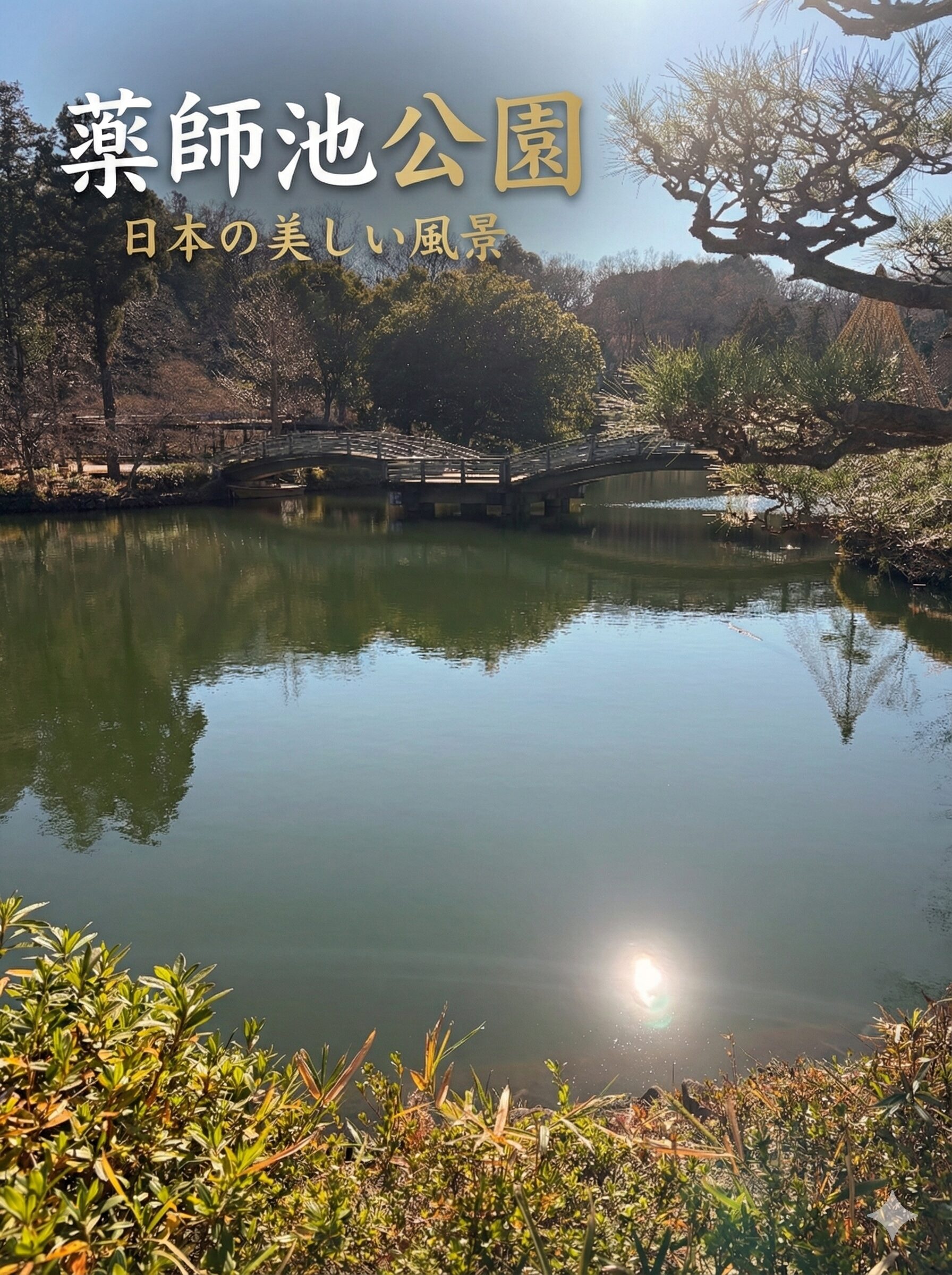 【町田・薬師池公園】年末の日曜が穴場だった！失敗しない散歩ガイド