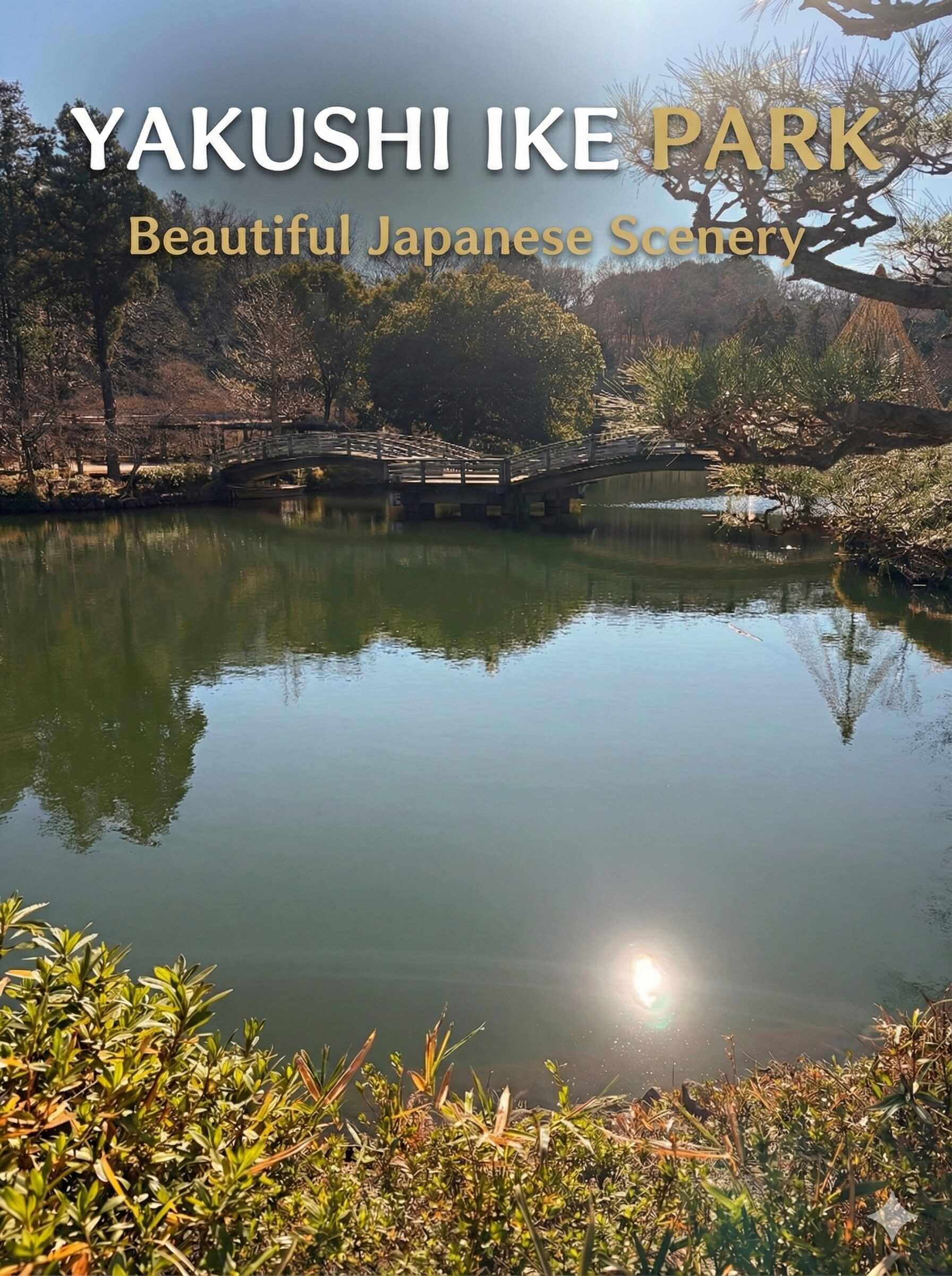Machida Yakushiike Park: A Surprisingly Quiet Year-End Walk Near Tokyo