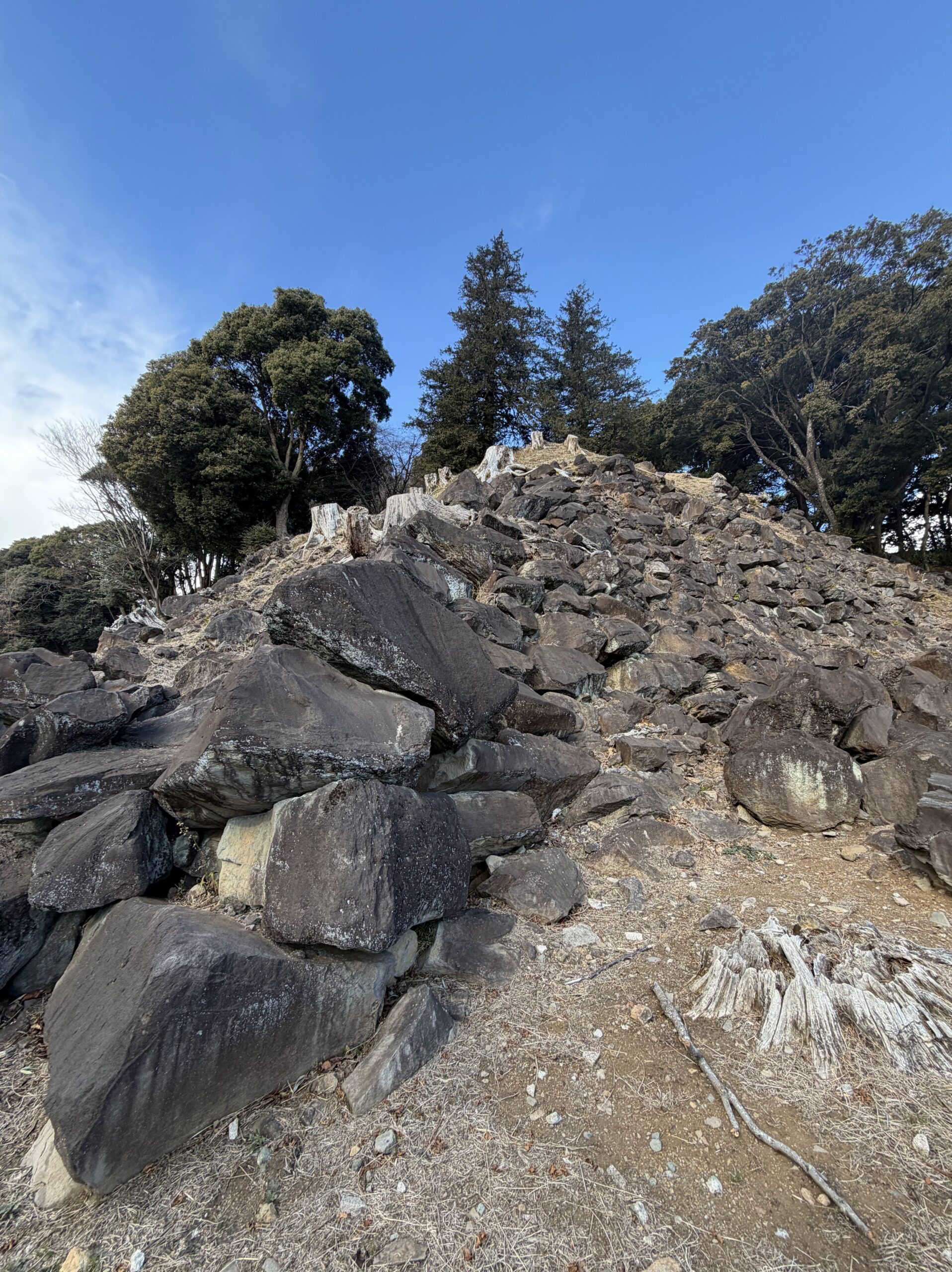 【小田原・一夜城】50代おじさん、0℃の石垣山を犬と歩いて心が整った話