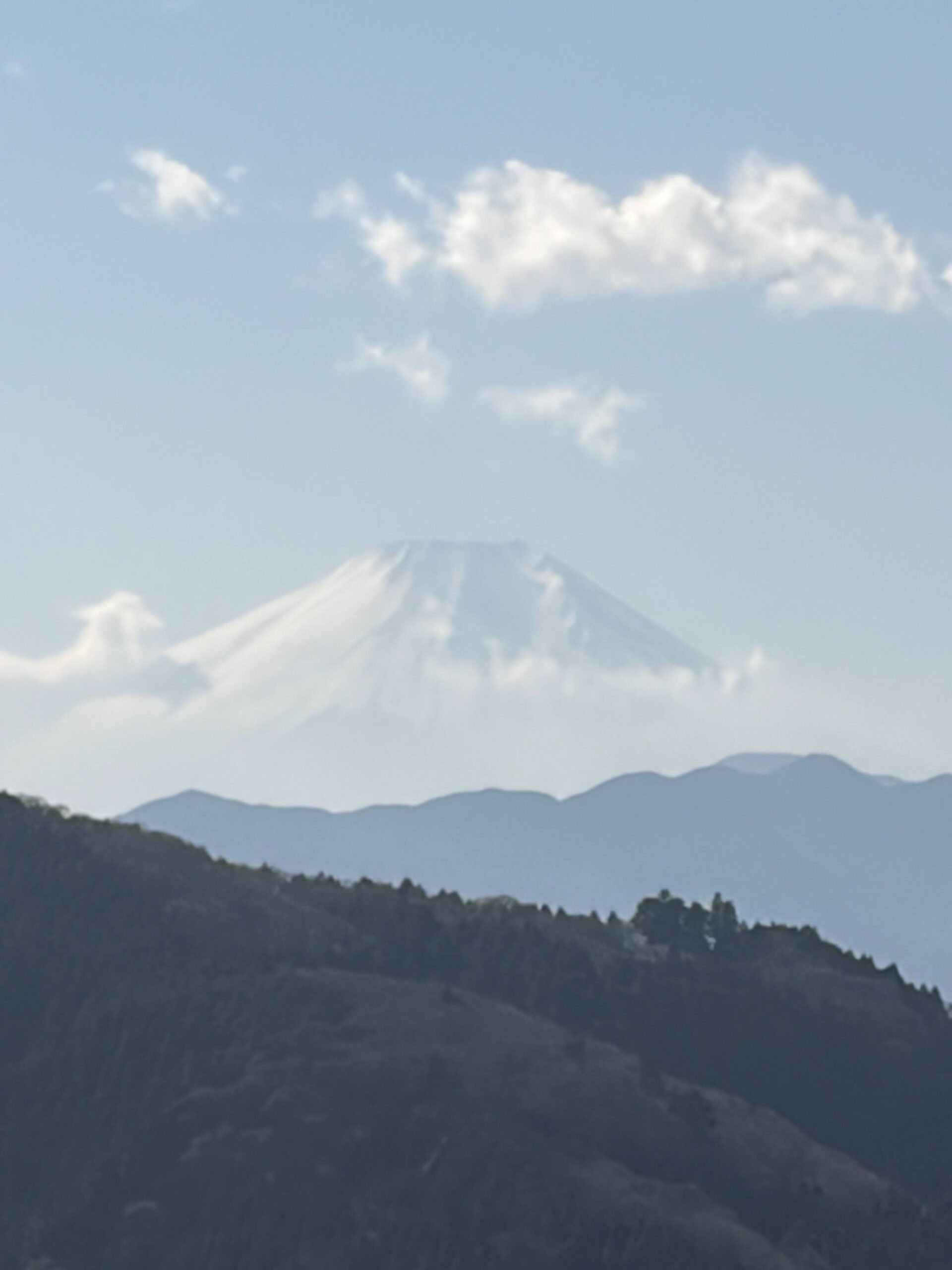 Hachioji Castle Ruins Hike: Why I Seriously Underestimated This Trail Near Tokyo
