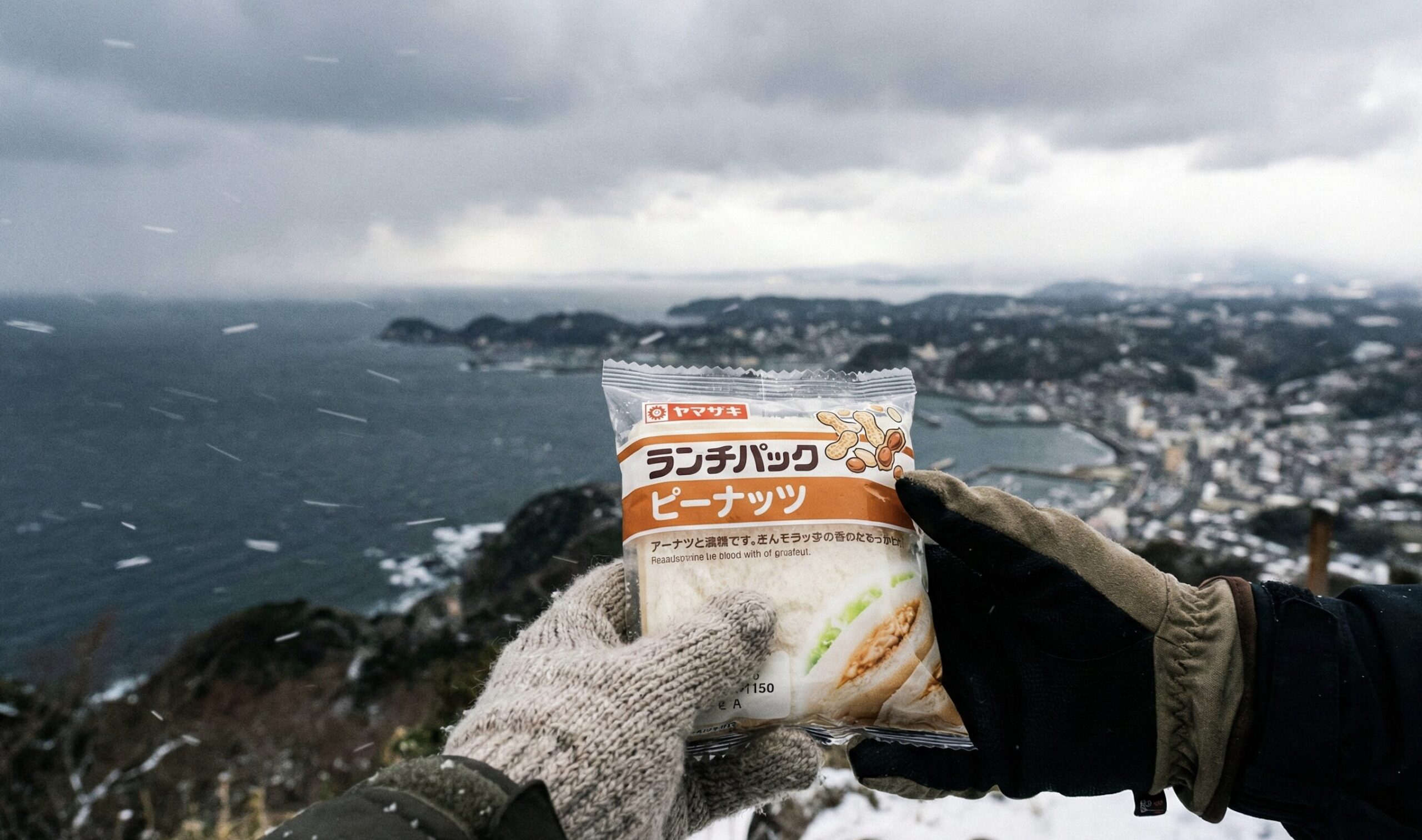 【三浦半島・大楠山】小雪の0℃から始まった立石からの縦走4時間09分レポ