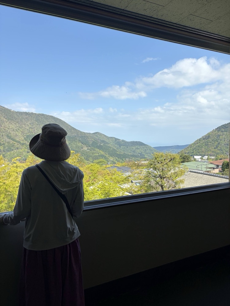 A person looking out at the Hakone mountains through a large window at the museum. Clear blue sky and green hills.