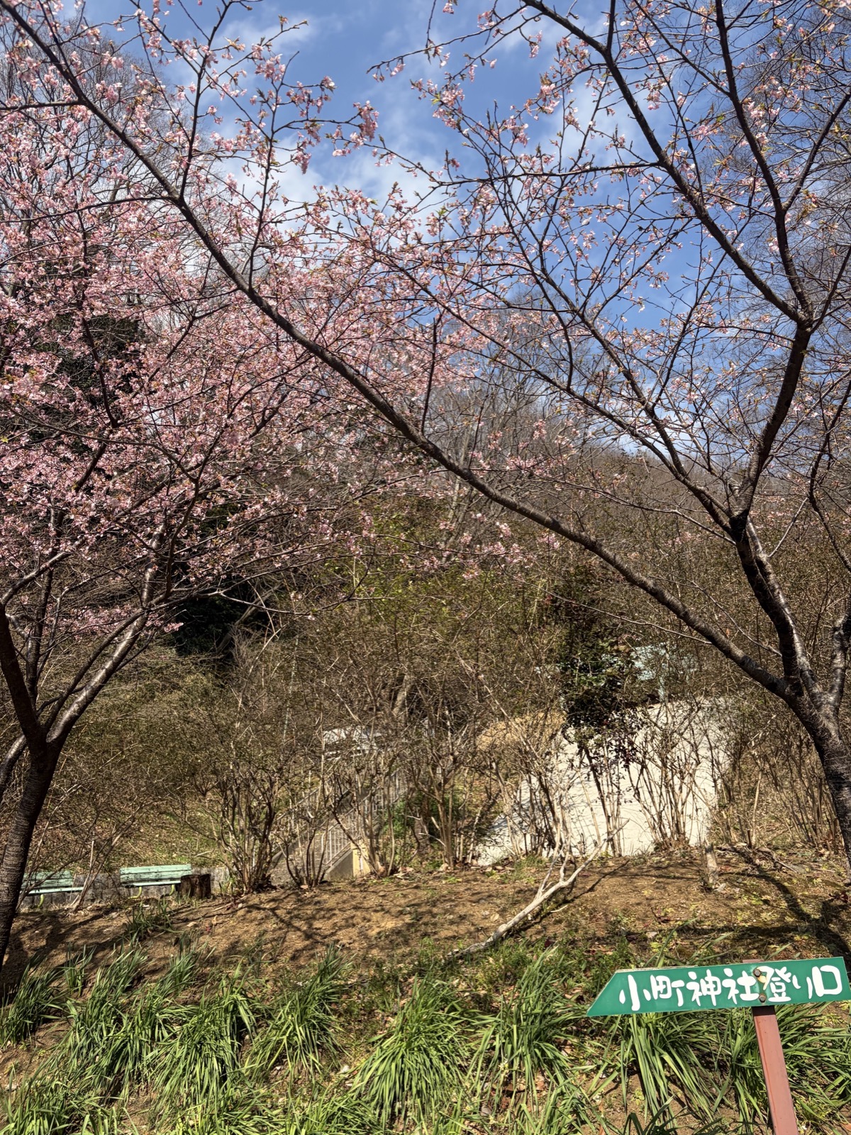 小町神社から高松山ハイキング｜厚木の低山コース・駐車場・所要時間