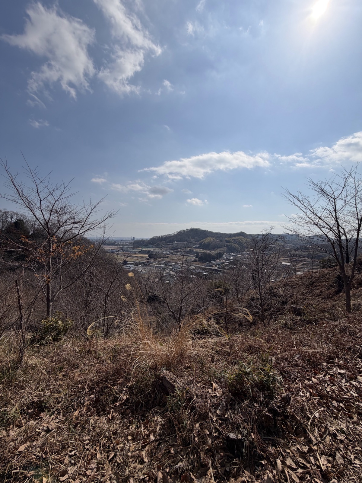 高松山からのパノラマビュー
