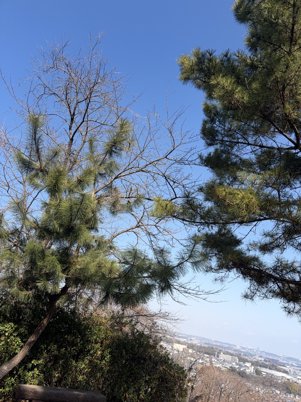 高松山山頂からの眺望