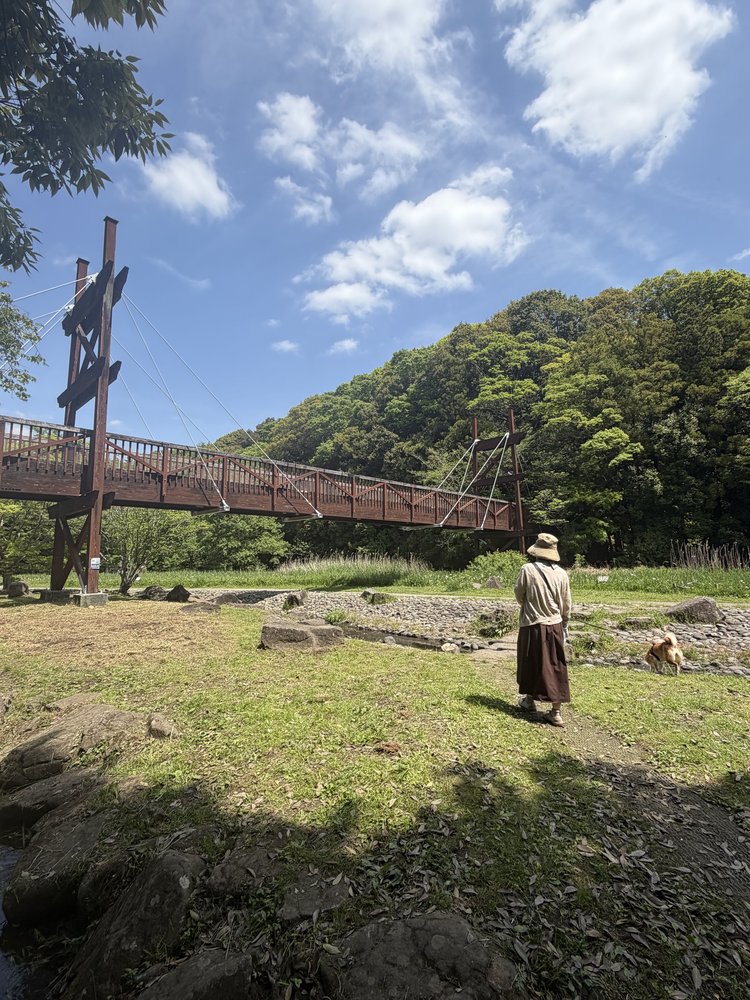 泉の森の吊り橋（神奈川県大和市）