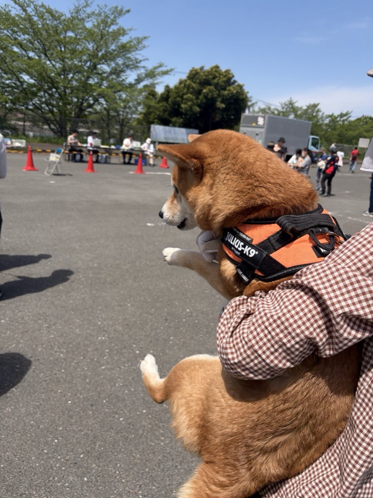 順番が近づいてビビり始めたもみじの横顔。