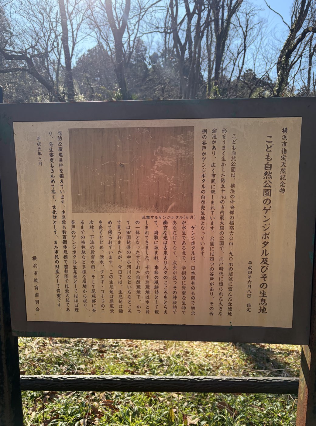 Interpretive signboard for the Genji firefly habitat at Kodomo Shizen Park, a Yokohama City Natural Monument