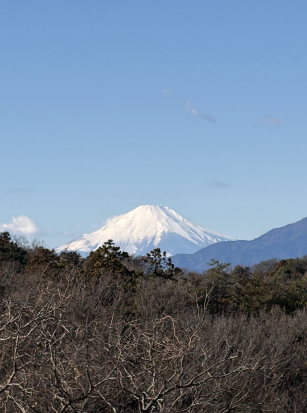 Snow-capped Mt. Fuji seen from Kodomo Shizen Park in Yokohama