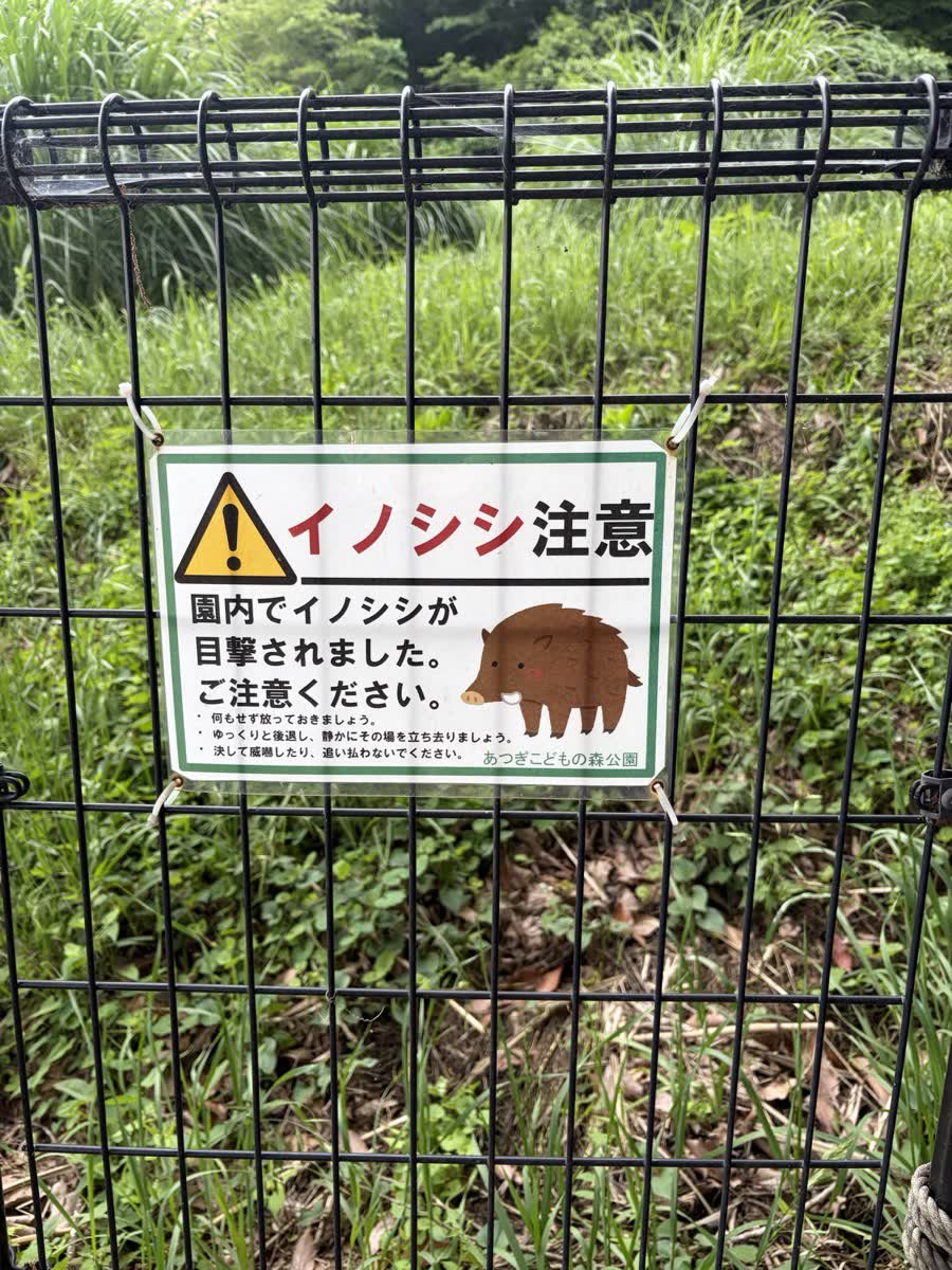 イノシシ注意の看板