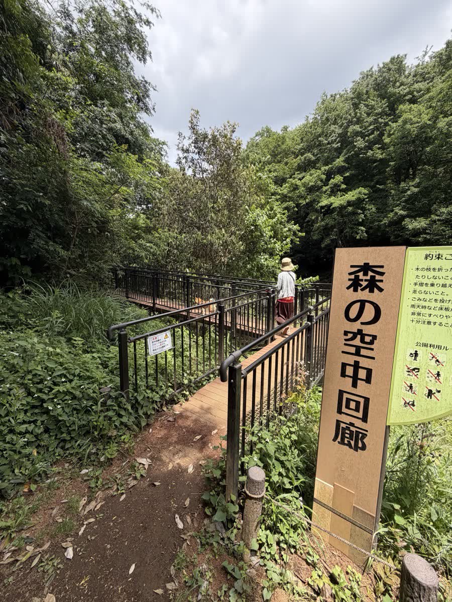 森の空中回廊の入口看板とデッキ