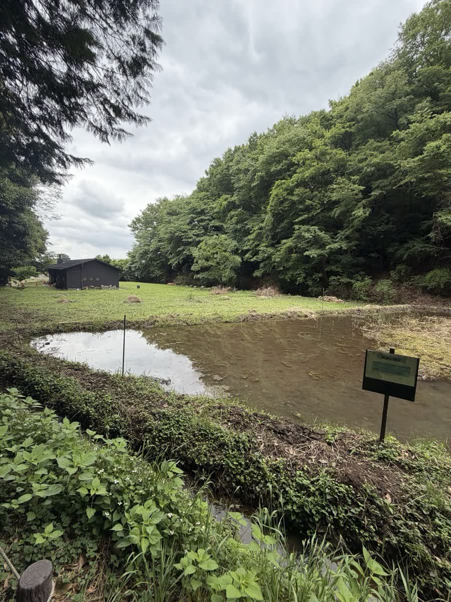 森に囲まれた農業体験エリアと作業小屋の風景