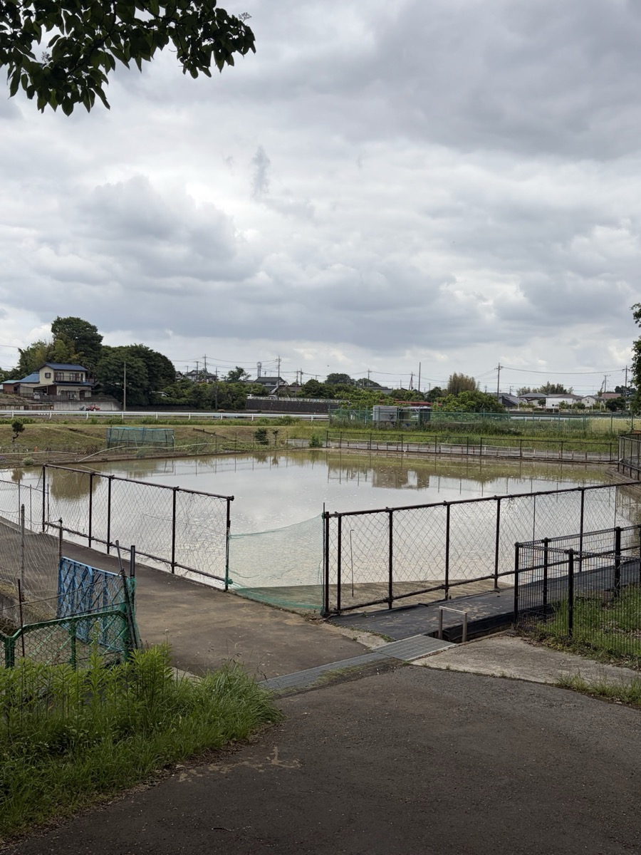 金網で管理されたため池と周辺の住宅地の風景