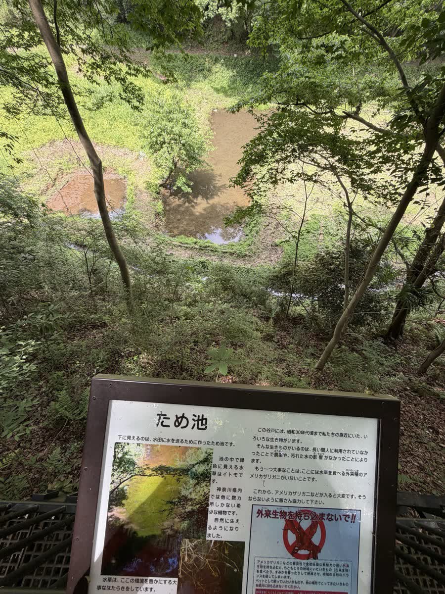ため池の解説板と森の斜面