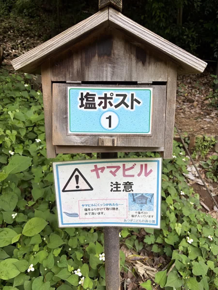 ヤマビル注意の表示がある塩ポスト