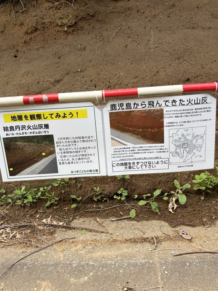 姶良丹沢火山灰層の解説板