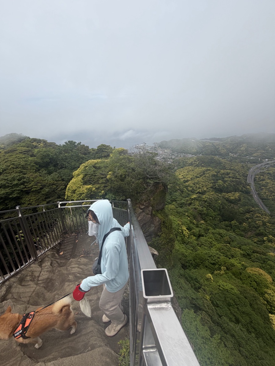 霧の中の地獄のぞきに立つ奥様と柴犬もみじ