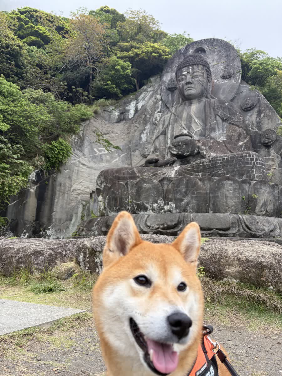 鋸山・日本寺は犬連れOK？所要時間ときつさを50代が実測｜駐車場とロープウェイ料金