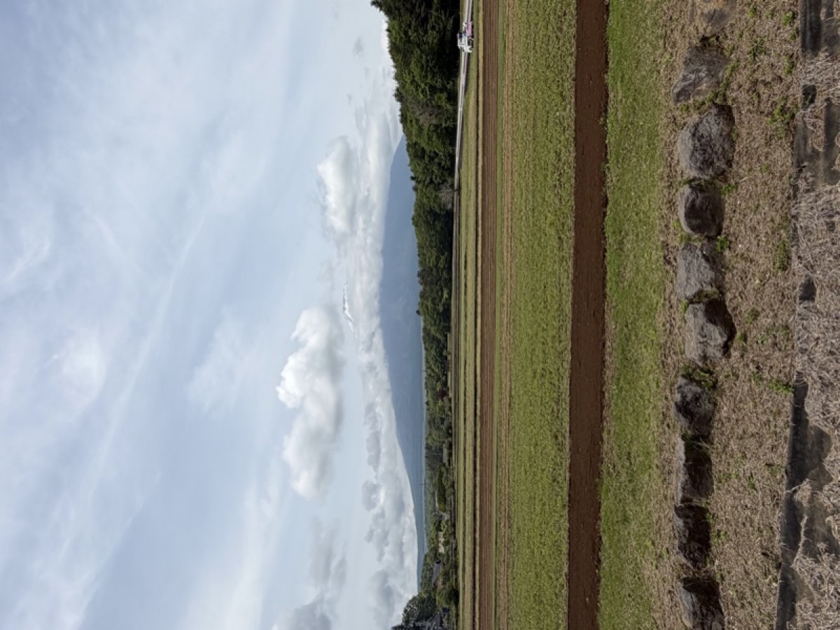 農地越しに見える富士山。雲がかかっているが山の形がはっきり見える
