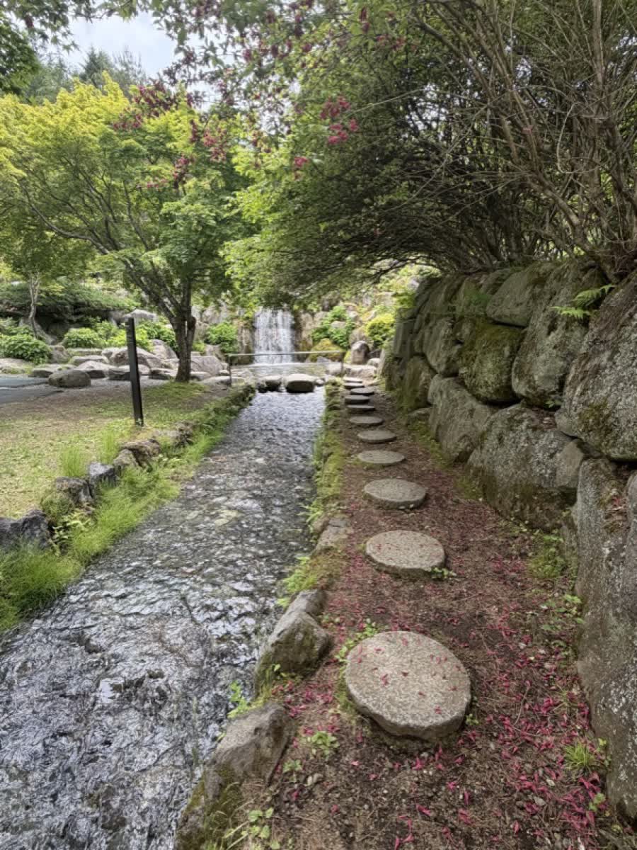 岩清水の滝エリア。苔むした岩壁と木々