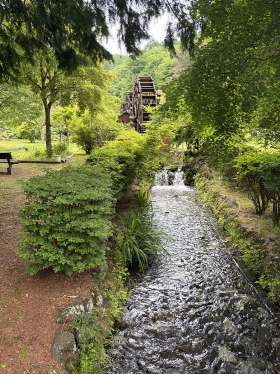 緑の木々の間に見える滝と水車。水の流れと植物が美しい景色