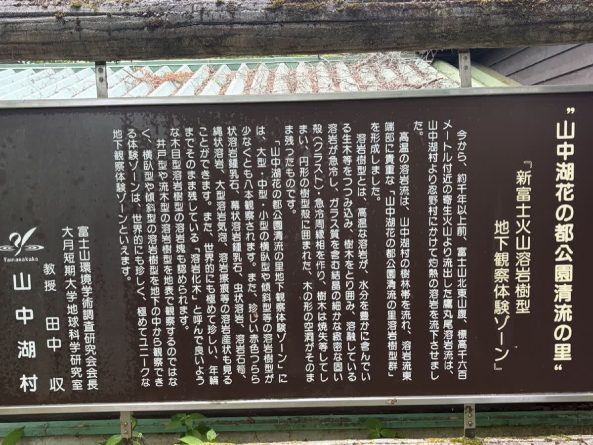 溶岩樹型地下観察体験ゾーンの詳しい説明板。富士山の噴火でできた溶岩樹型について解説