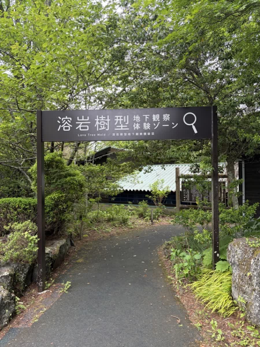 溶岩樹型地下観察体験ゾーンの入口看板。「溶岩樹型 Lava Tree Mold」と書かれている