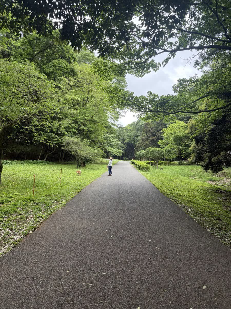 緑に囲まれたまっすぐな遊歩道