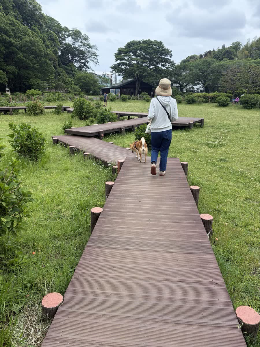 座間・芹沢公園。地下壕の隣で、飛行機がずっとうるさかった