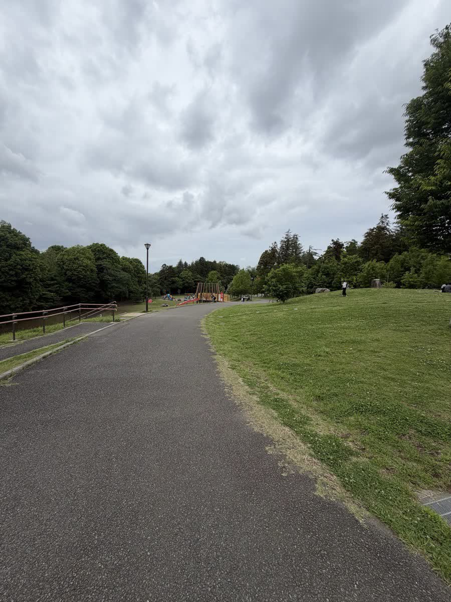 芝生の横に伸びる舗装された園路