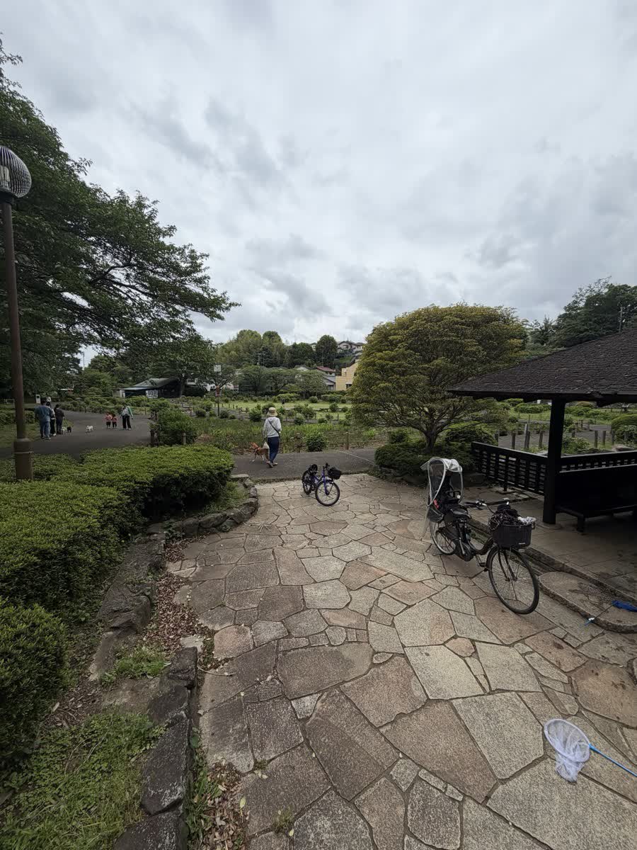 芹沢公園の広場と自転車置き場