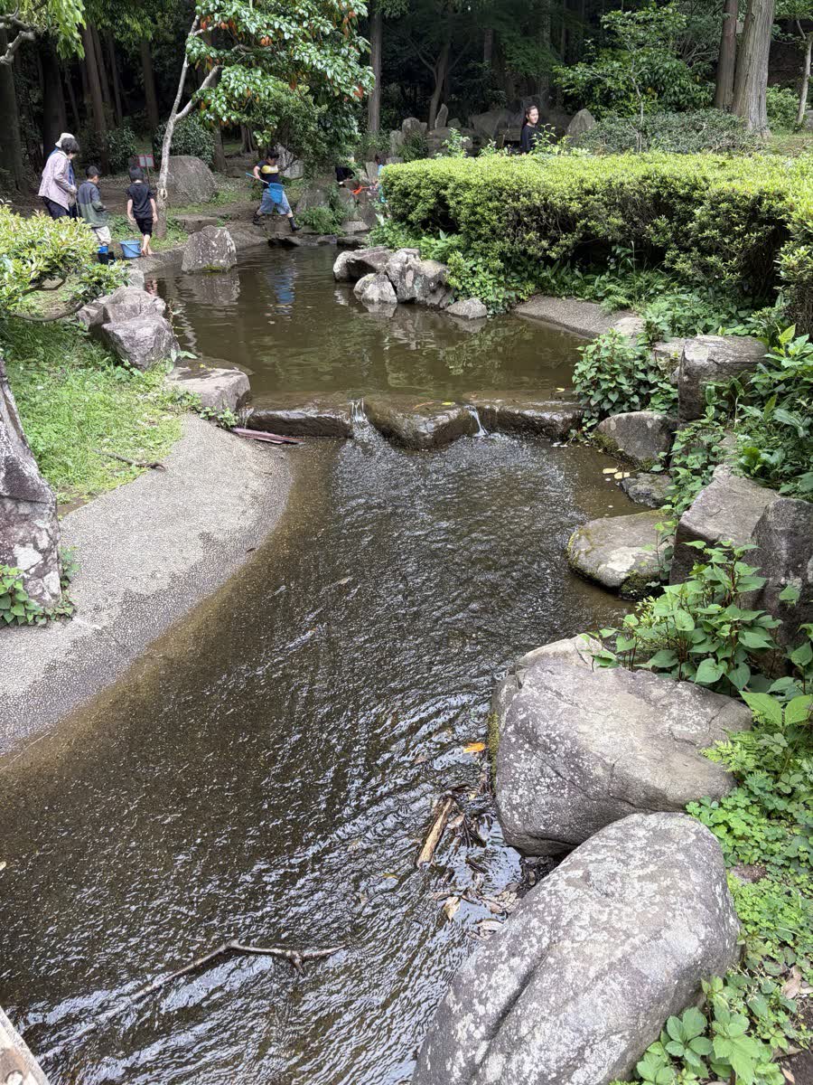 芹沢公園の水辺と石の流れ