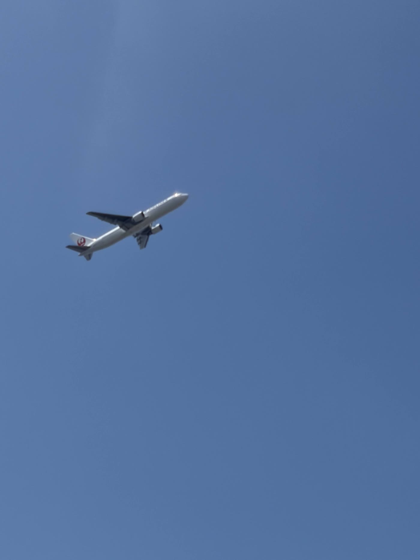 城南島海浜公園の真上を飛ぶJALの旅客機