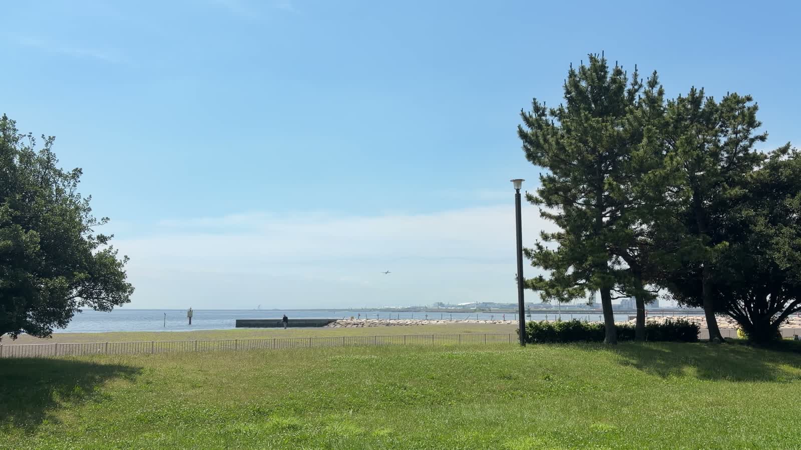 城南島海浜公園の芝生広場から見た東京湾。海の上空を飛行機が飛び、右手に松の木と街灯