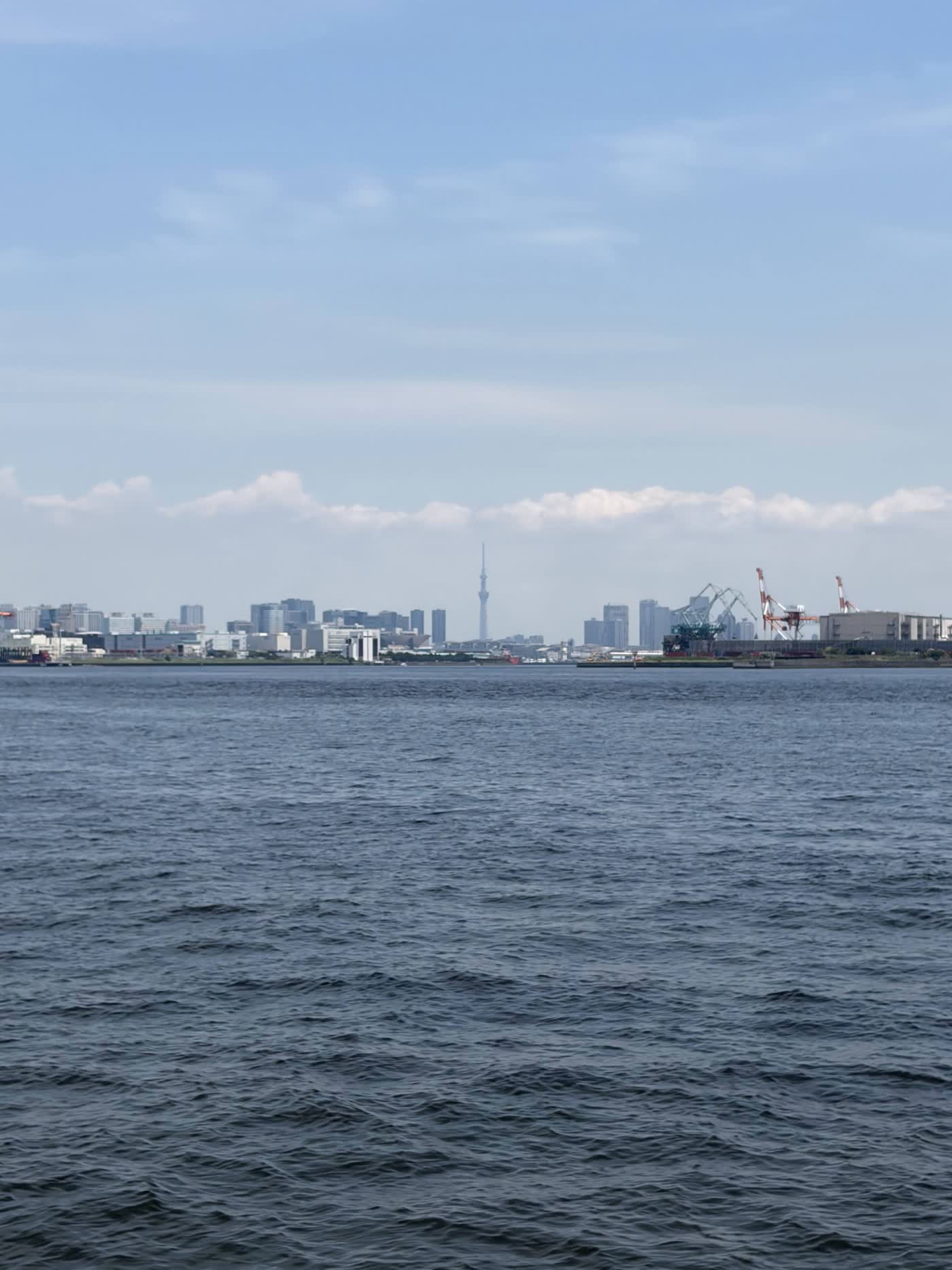 城南島海浜公園の海越しに見える東京スカイツリーと都心のビル群、ガントリークレーン