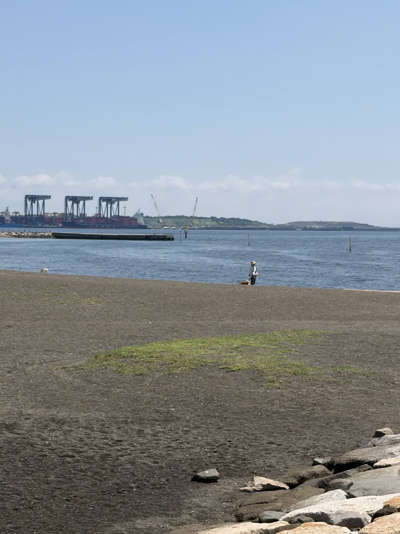 城南島海浜公園つばさ浜の砂浜と東京湾、奥にガントリークレーン