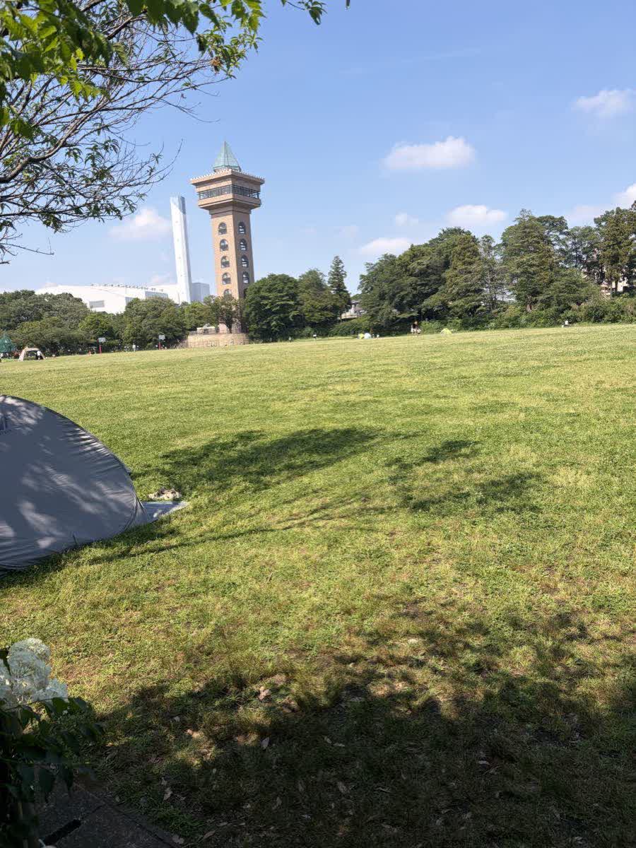 相模原麻溝公園の芝生広場とグリーンタワー相模原
