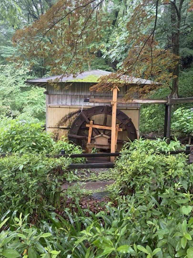 緑に囲まれた薬師池公園の水車小屋。雨に濡れて茅葺き屋根に苔がのっている