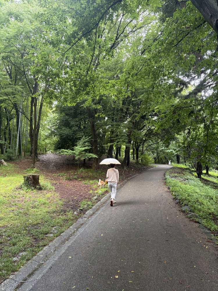 座間谷戸山公園の駐車場・所要時間・犬連れルールを50代が実測｜雨上がりの一周トレッキング