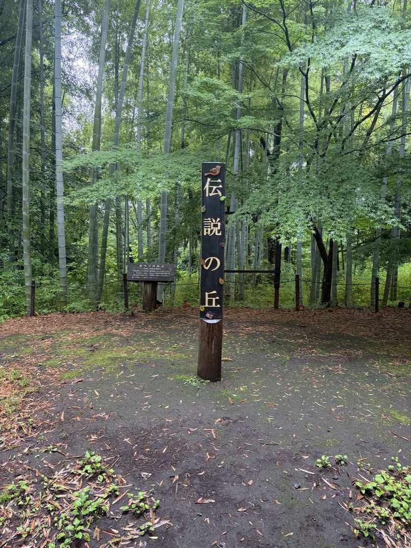 座間谷戸山公園の伝説の丘の標柱。背後にモウソウチクの竹林が広がる